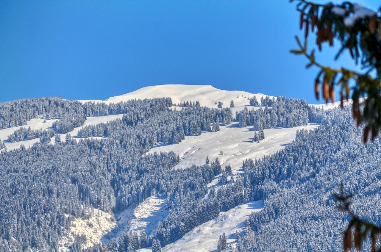 Apartment Snowmountain - By Alpen Apartments ツェル アム ゼー エクステリア 写真